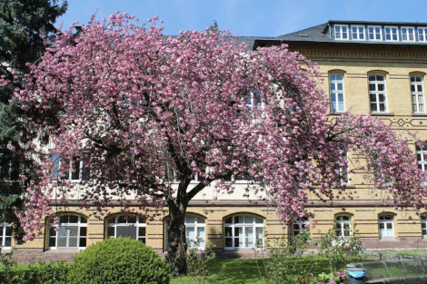 Außenansicht Bildungsakademie